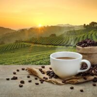 cà phê hữu cơ