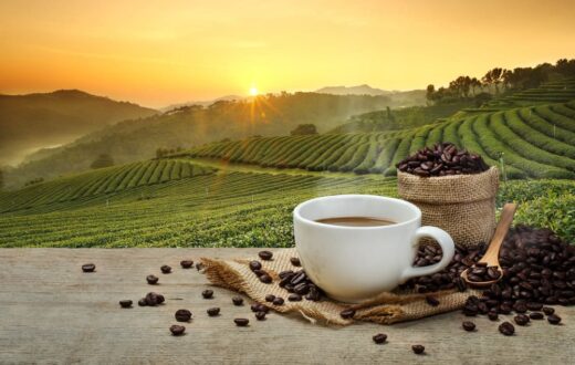 cà phê hữu cơ