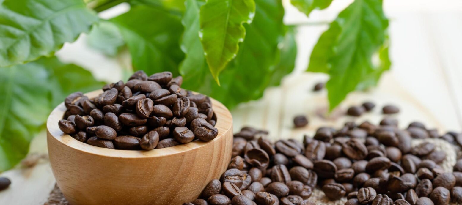 các loại cà phê rang xay