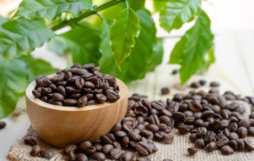 các loại cà phê rang xay