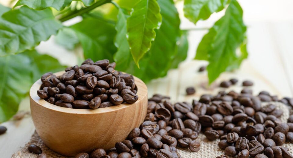 các loại cà phê rang xay